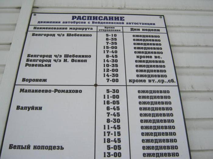 Pilgrim Center Belgorod: caracteristici