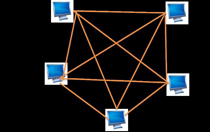ce se înțelege prin topologia rețelei locale 