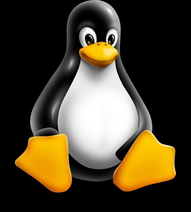 Cum de a afla versiunea de Linux, comenzile de bază