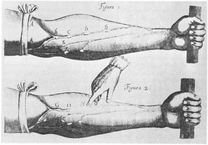 william harvey biologie