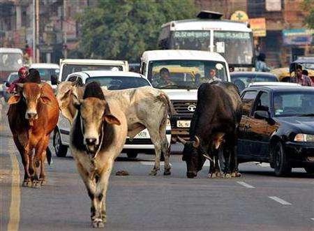 cultura și tradițiile din India 