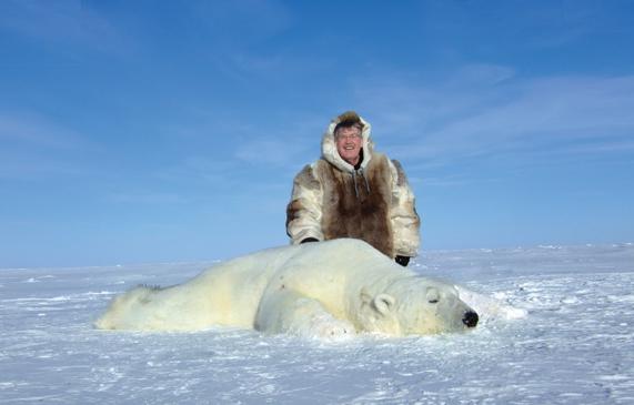 De ce este redus numărul de urși polari din Arctica?