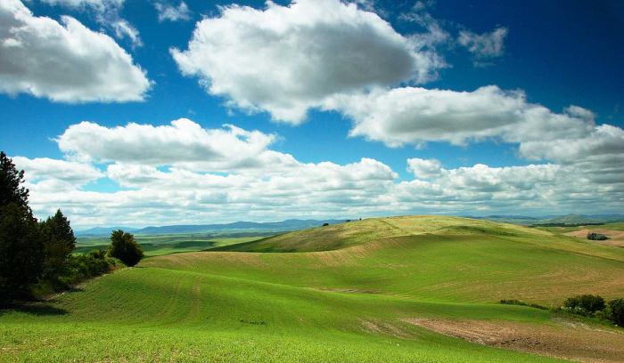 Zonele naturale ale Germaniei și principalele lor trăsături