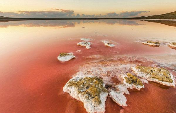 sare lac de culoare roz în Crimeea 