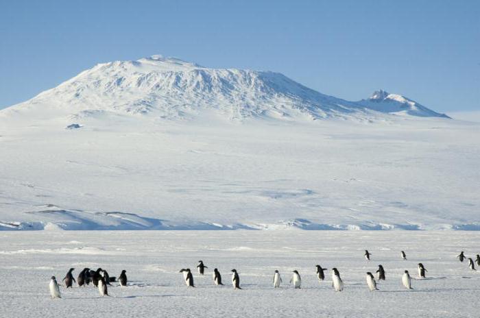 vulcanii din Antarctica