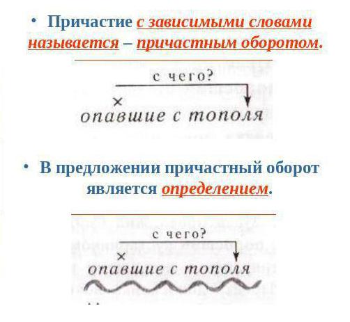 Cum se accentuează participanții. Rolul sintactic al participanților.