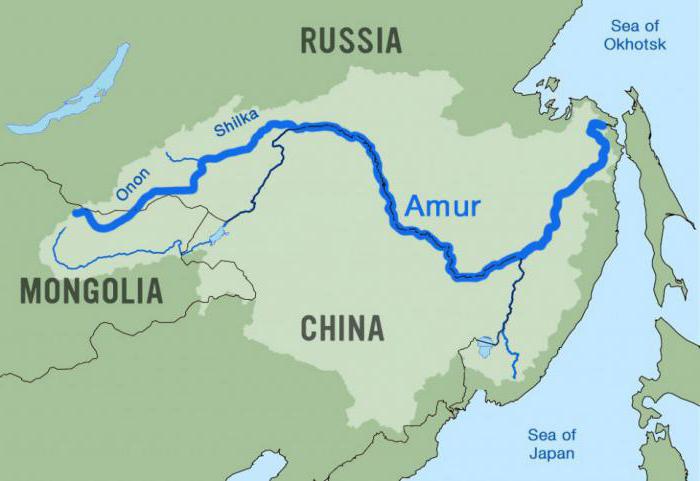 Râul Amur: utilizare economică și descriere. Râul Amur - fotografie