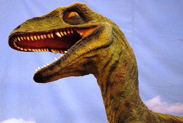 Cel mai mare raptor este dinozaurul familiei dromaeosauride din sânge