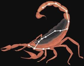 Constelatia Scorpionului