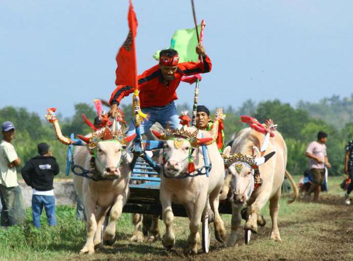 Bali în septembrie - 