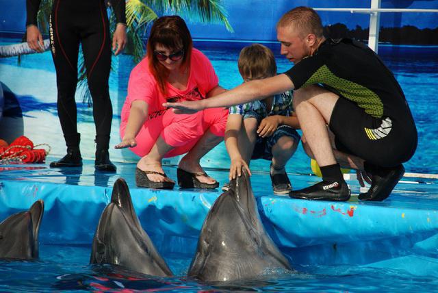 Dolphinarium (Novorossiysk) - o mare de admirație și distracție