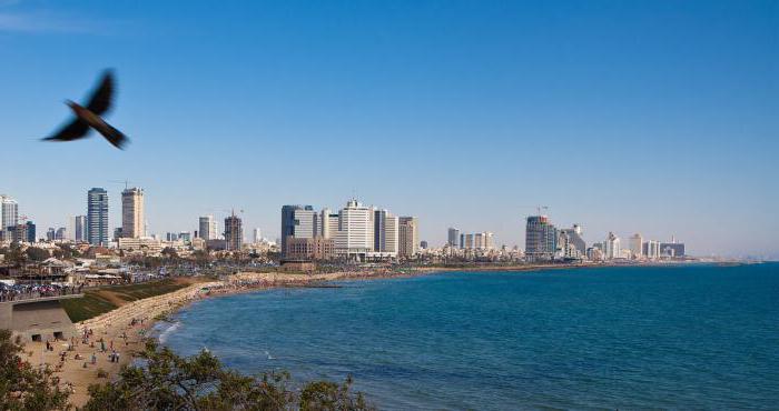 cum să ajungi de la Tel Aviv la Eilat