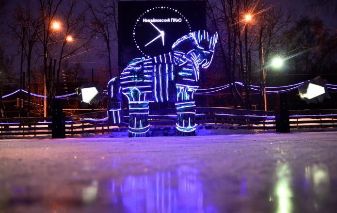 Patinoar în Izmaylovsky Park: fotografie, adresa, comentarii