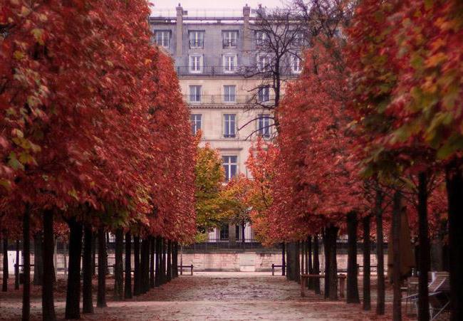 Paris la sfârșitul lunii octombrie