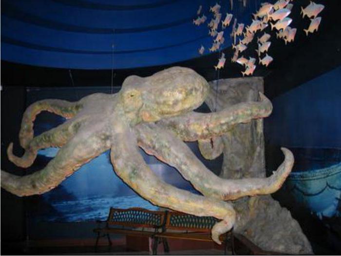 Oceanarium (Astana) adresa