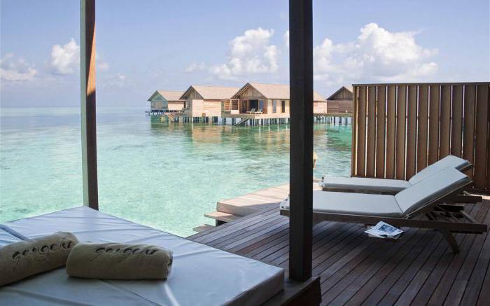 Hotel Gangehi Island Resort 5 *, Maldive: descriere, serviciu, comentarii