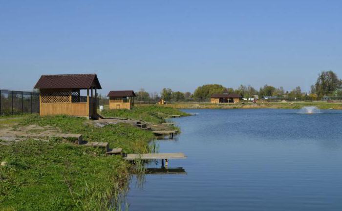 recenzii la lac ponti