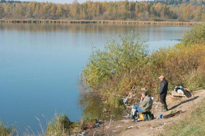 Lacul Torbeevo: pescuit și recreere