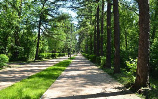 Parcul Sokolniki, Moscova