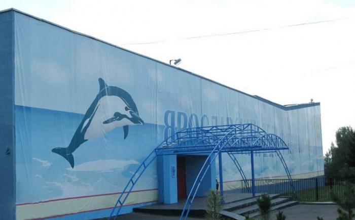 Yaroslavl Dolphinarium preturi