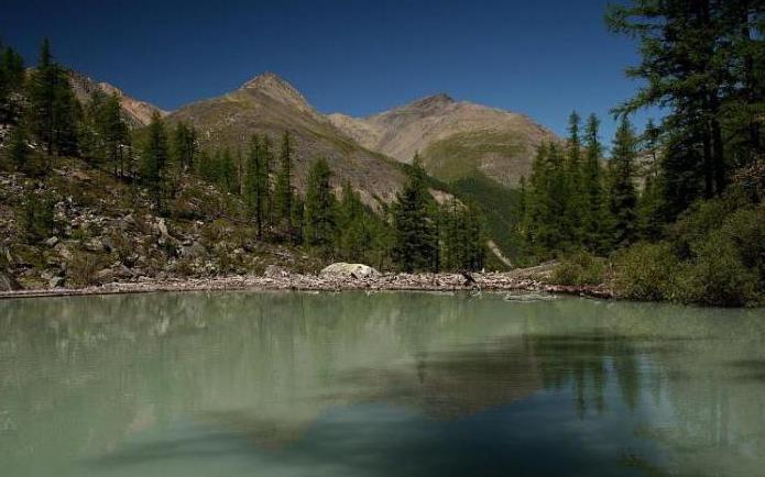 Munții Altai Lacul Shavlinsky