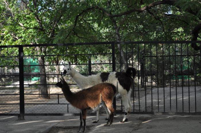 prețul biletului la Zoo Nikolaev