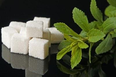 Stevia în diabet zaharat ca un substitut pentru zahăr